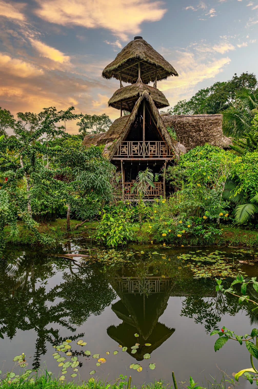 Amazon Green