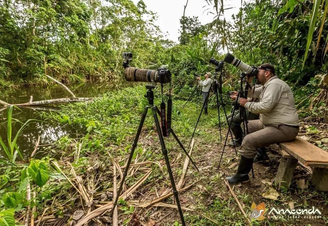 Anaconda Lodge Ecuador