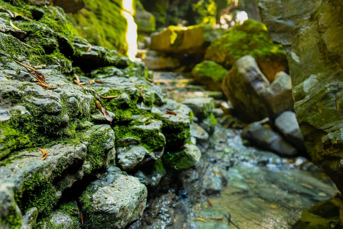 Cascada de Latas