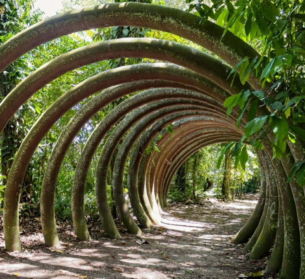Parque Amazónico La Isla (PALI)