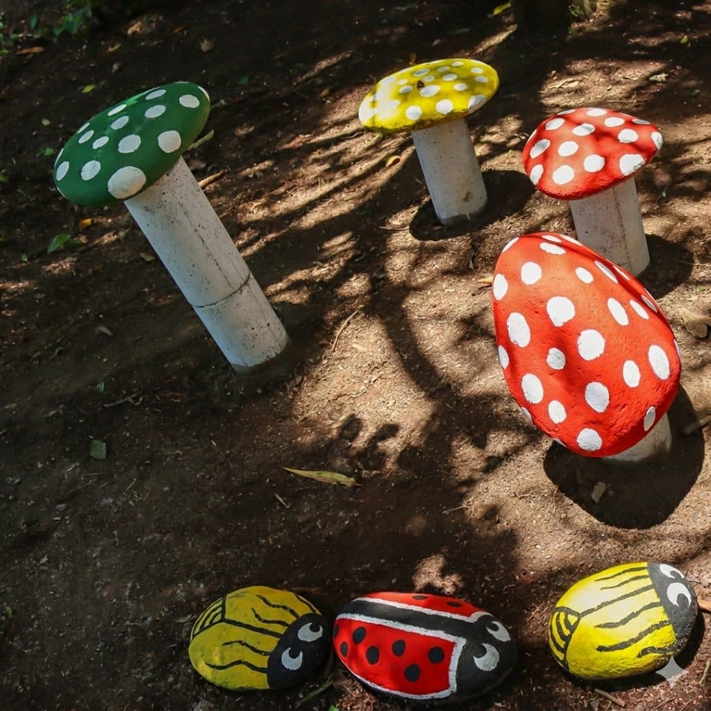 Parque Amazónico La Isla (PALI)